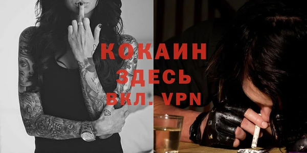 ешки Арсеньев