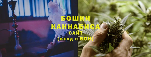 ешки Арсеньев